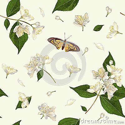 Jasmine seamless pattern Vector Illustration