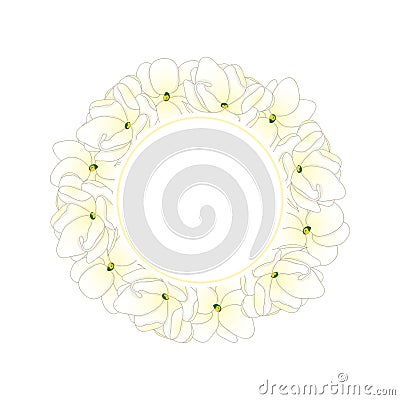 Jasminum sambac - Arabian Jasmine Banner Wreath. Vector Illustration Vector Illustration