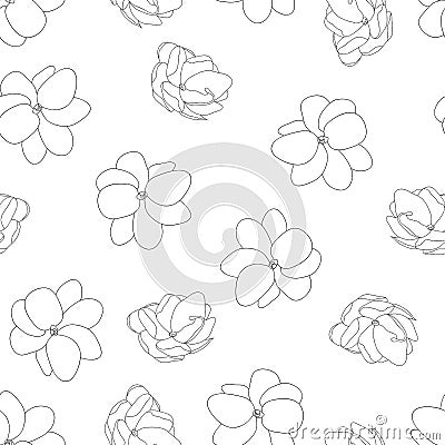 Jasminum sambac - Arabian Jasmine Outline Seamless Background. Vector Illustration Vector Illustration