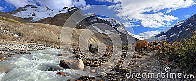 Jasper National Park Landscape Panorama of Athabasca Glacier and Meltwater Stream in Evening Light, Alberta, Canada Stock Photo