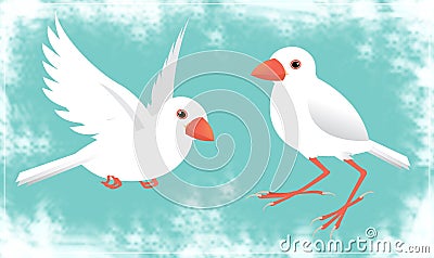 java sparrow Vector Illustration