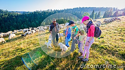 Jaworki, Poland - August 30, 2015: Summer adventure - shepherd grazing sheep in the mountains Editorial Stock Photo