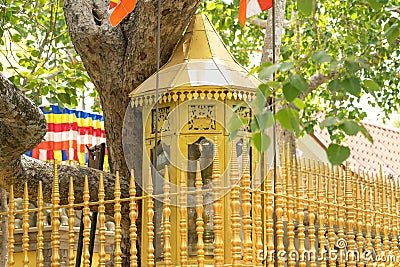 Jaya Sri Maha Bodhi in Anuradhapura ,Sri Lanka Stock Photo