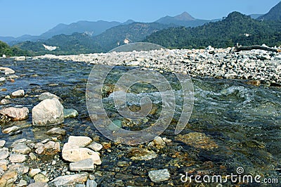 Jayanti River. - The Enchanting Forest of the Dooars. Stock Photo