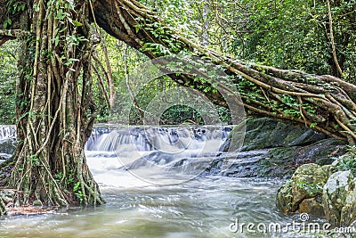 Jedkod waterfall at Khao Yai National park,Thailand Stock Photo