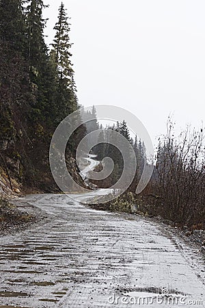 Jeep Trail of Dalton Road near Haines, Alaska Stock Photo
