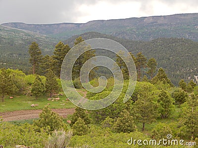 Jeep Trail in Dixie National Forest, Utah Stock Photo