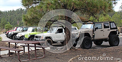 A Gaggle of Jeeps In The Forest Editorial Stock Photo