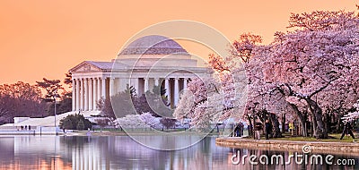 The Jefferson Memorial during the Cherry Blossom Festival Stock Photo