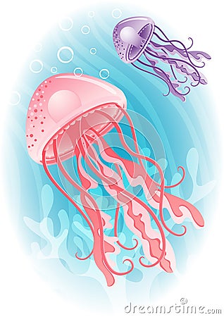 Jellyfish Vector Illustration