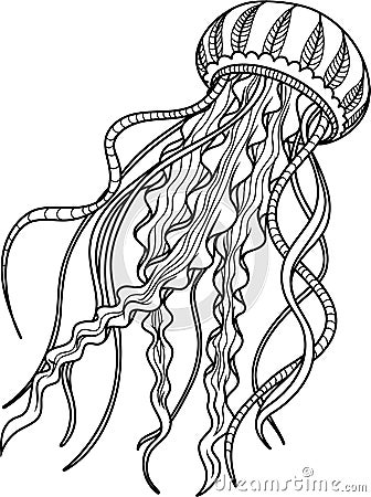 Jellyfish antistress. Hand drawn sketch for adult antistress coloring page. Vector Illustration