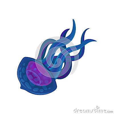 Jellyfish or medusa vector Illustration on a white background Vector Illustration