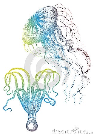 Jellyfish And Octopus, Vector Vector Illustration