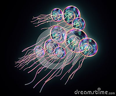 jellyfish swimming isolated on black Cartoon Illustration