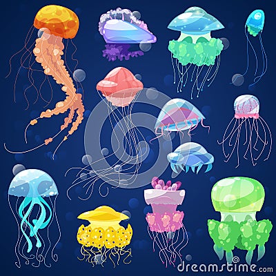 Jellyfish vector ocean jelly-fish and underwater nettle-fish illustration set of jellylike glowing medusa or fish in sea Vector Illustration