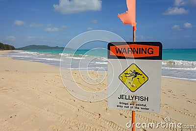 Jellyfish warning sign on beautiful hawaii beach Stock Photo