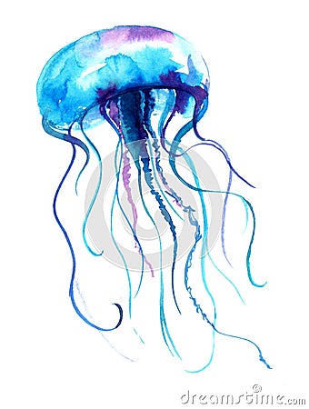 Jellyfish watercolor illustration. Medusa painting isolated on white background, colorful tattoo design. Cartoon Illustration