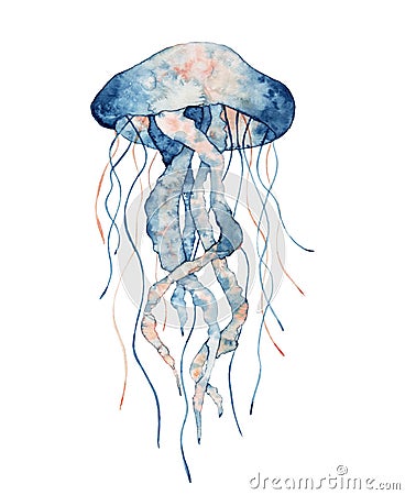 Jellyfish watercolor illustration. Painted medusa isolated on white background, underwater wildlife. Cartoon Illustration