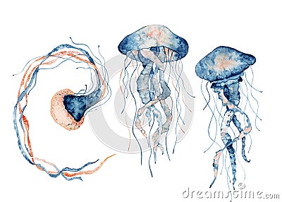 Jellyfish watercolor illustration. Painted medusa isolated on white background, underwater wildlife. Cartoon Illustration