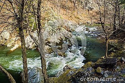 A Wild Mountain Trout Stream Stock Photo