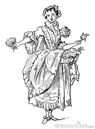 Jenny the flower, vintage engraving Vector Illustration