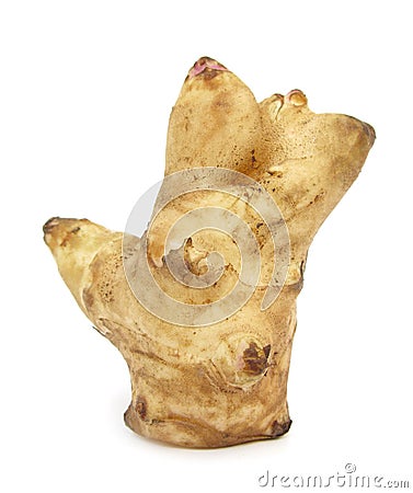 Jerusalem artichoke sunroot sunchoke tuber Stock Photo