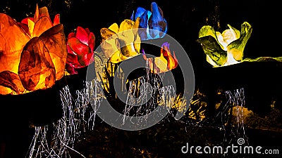 Jerusalem Festival of Light Editorial Stock Photo