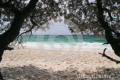 Jervis Bay From Murrays Beach Looking Through Trees Stock Photo