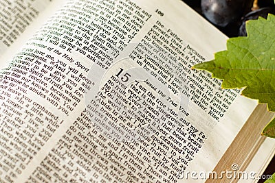 Jesus Christ is the true vine. Abide and obey God. I`m the vine and you are the branches. Stock Photo