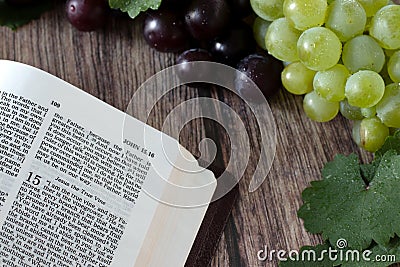 Jesus Christ is the true vine verse in open holy bible with fresh grapes and branches on wooden table Stock Photo