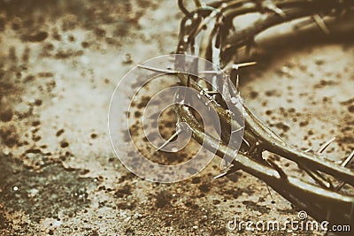 Jesus Crown of Thorns on the Grunge Background Stock Photo