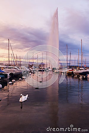 Jet d`Eau in Geneva Stock Photo