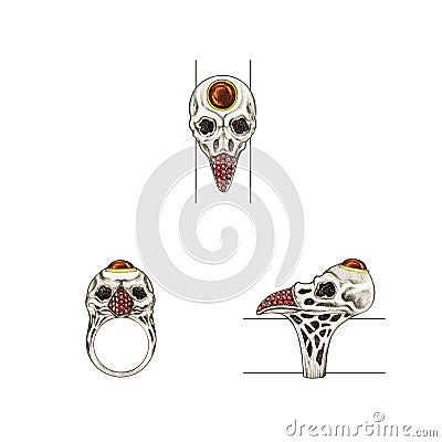 Jewelry design bird skull ring. Stock Photo