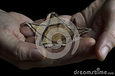 Jewish badge in the hands of a man Editorial Stock Photo