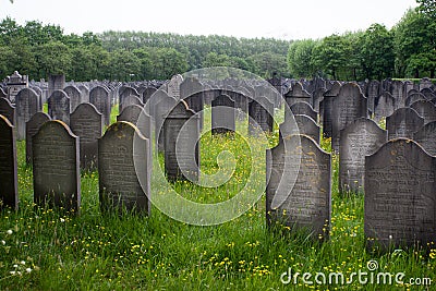 Jewish cemetery Editorial Stock Photo