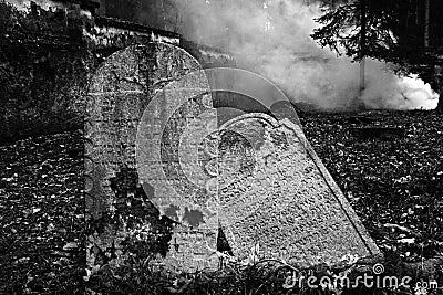 Jewish Cemetery in Puclice. Editorial Stock Photo