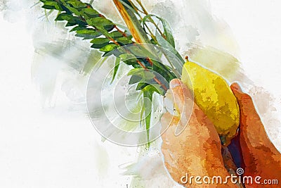 Watercolor style and abstract image of Jewish festival of Sukkot. Traditional symbols The four species: Etrog, lulav, hadas, Stock Photo