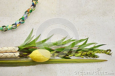 Jewish festival of Sukkot. Sukkot traditional symbols. Four species etrog, lulav, willow and myrtle. Stock Photo