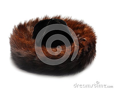 Jewish fur hat Stock Photo