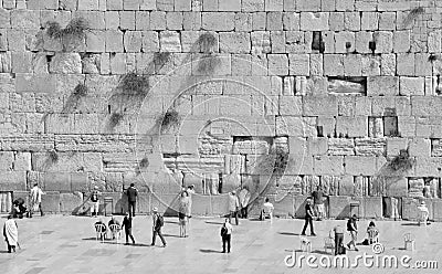 Jewish hasidic pray at the Western Wall, Wailing Wall Editorial Stock Photo