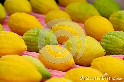 Jewish Holiday - Sukkot Stock Photo