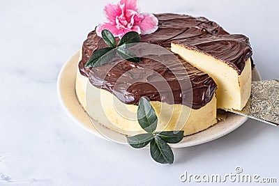 Jiggly and fluffy Japanese cotton souffle cheesecake decorated with chocolate glaze on ceramic plate. Stock Photo