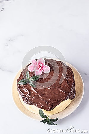 Jiggly and fluffy Japanese cotton souffle cheesecake decorated with chocolate glaze on ceramic plate. Stock Photo