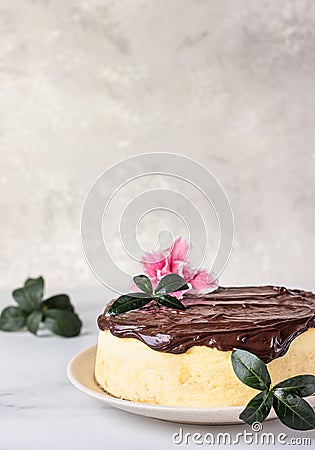 Jiggly and fluffy Japanese cotton souffle cheesecake decorated with chocolate glaze on ceramic plate. Stock Photo