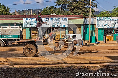 JINKA, ETHIOPIA - FEBRUARY 5, 2020: Donkey cart in Jinka, Ethiop Editorial Stock Photo