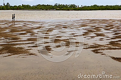 Joal Fadiouth in Africa Senegal shell island Stock Photo