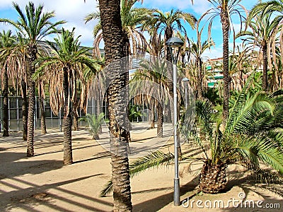 Joan Miro Park in Barcelona Editorial Stock Photo