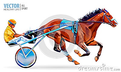 Jockey and horse. Champion. Racing. Hippodrome. Racing steed coming first to finish line. Chariot with horse and rider Vector Illustration