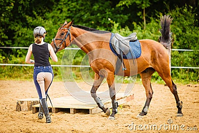 Jockey young woman getting horse ready for ride Stock Photo