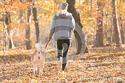 Jogger and akita dog outdoors. Sport and healthy concept Stock Photo